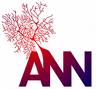 Ann sin avatar